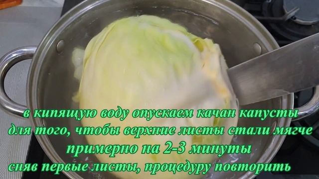 Голубцы запеченные в сметанном соусе смотреть онлайн