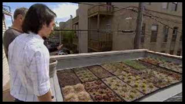 Лучшие экологические дома мира-4 смотреть онлайн