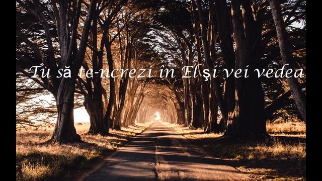 Andreea - Drumul către cer смотреть онлайн