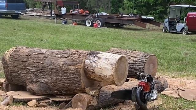 Racing Chainsaw! Honda CR 250! Dirt Bike 325 CC High Performance Stihl Powersports Race Saw! смотреть онлайн