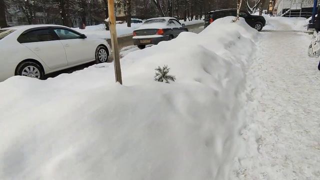 Прогулка после Ольги, Фикспрайс и зимняя городская красота
