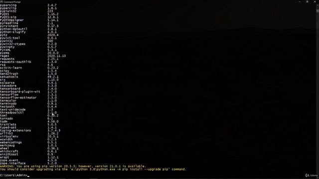 Section Introduction and PIP introduction | Python смотреть онлайн
