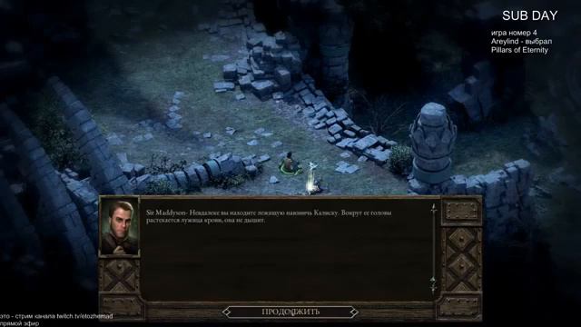 Илья Мэддисон в Pillars Of Eternity (Стрим 08/04/2015) #3