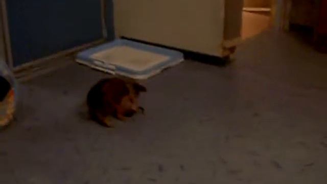 S73R8667 смотреть онлайн