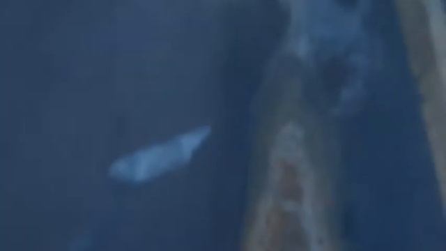 варим петли на бочке смотреть онлайн