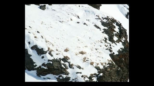 Остров Диксон и его окрестности. #5 смотреть онлайн