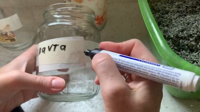 Мама-ментор