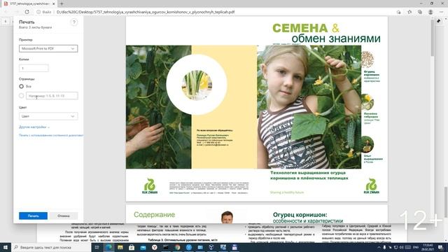 Разделяем PDF на страницы в Windows 10 без сторонних приложений в 2022 году! смотреть онлайн