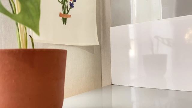 a day in my life✨ new ipad, buying plants, my body care! #4 смотреть онлайн