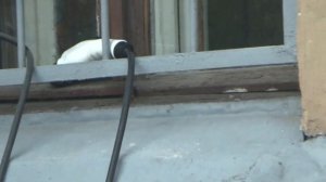 Установка таймеров зарядки и прогрева салона Ниссан Лиф (Nissan Leaf AZE0))