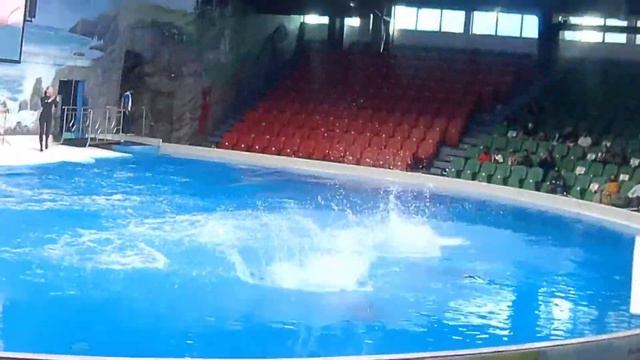 Прогулка в Dubai Creek