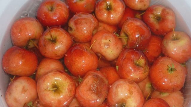 Сборник рецептов