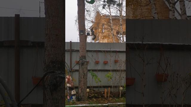 Идиллия смотреть онлайн