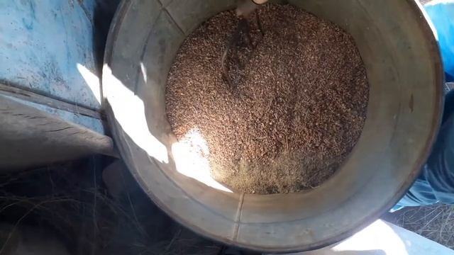 Обычный день! Работаем на грануляторе! Случаем крольчиху!!!