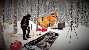 “ТАЙГА” -31 УСТАНОВИЛ ЛОВУШКИ НА ВОЛКОВ! ЕДУ ЗА СХРОНОМ! ДВИГАТЕЛЬ, ТРАКИ, ОТ  ТРАКТОРА ТДТ 55.