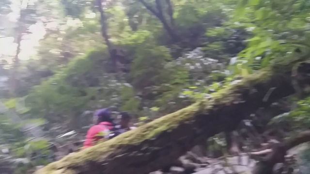 Air Crash Site Trek in Barail Mountains | Final Part | Jatinga Mystery | Unexplored Assam смотреть онлайн