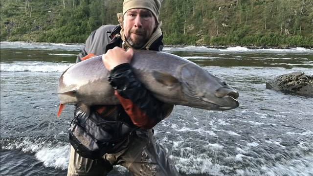 таймень 30 кг смотреть онлайн