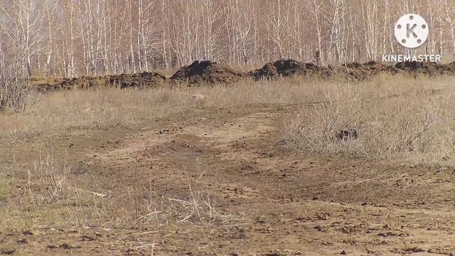 Crowhunting, кроухантинг