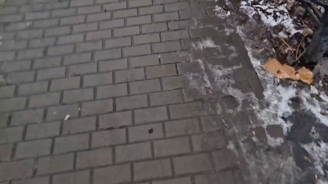 Гарик проколол плешь и ответил про трансляцию в TikTok...............??? смотреть онлайн