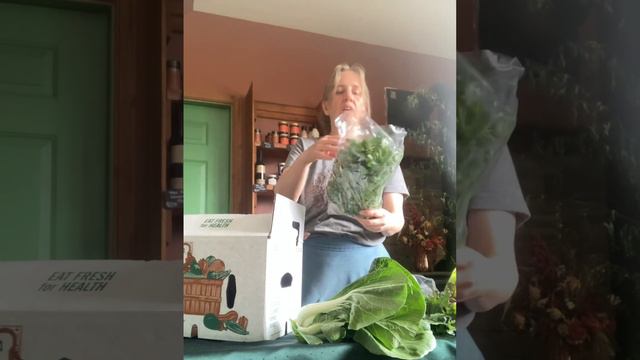 My Favorite Spring Vegetable Showcase: Kale, Cabbage, Asparagus, and More смотреть онлайн