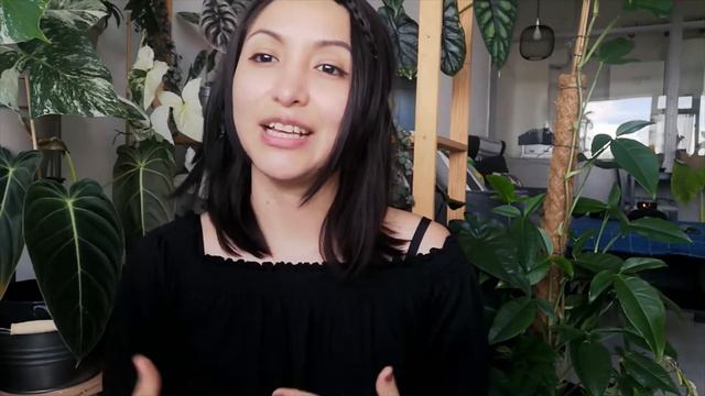 #unboxing / Philodendron Melanochrysum, Syngonium Green Splash y Hoya Mathilde | Desde Cero смотреть онлайн