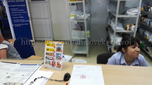 Руководство к Творческой Эффективности