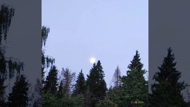 Суперлуние 21.08.2024, 5 утра