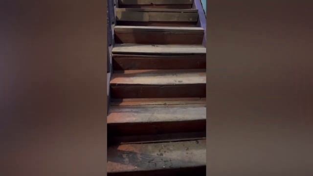 До обращения в ЛДПР подъезд на Щорса, 12 выглядел так смотреть онлайн