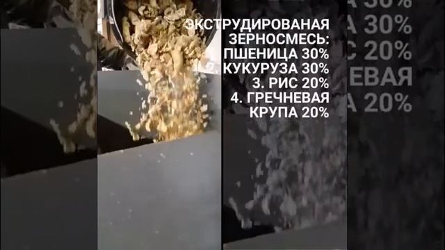 The video is filmed in connection with a huge number of questions, how we feed our dogs. смотреть онлайн