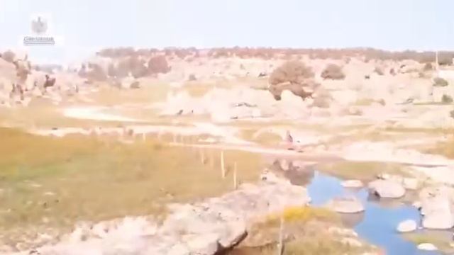 Que bonito Chihuahua... смотреть онлайн