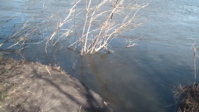 Село Борщёво. Река Дон. Моя малая Родина смотреть онлайн