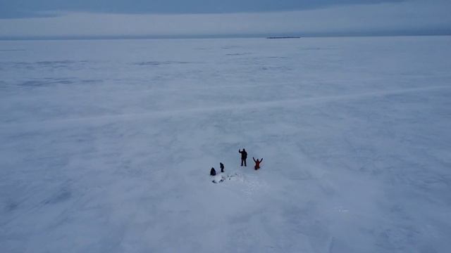 26.02.2022_Прогулка по экотропе Западный Котлин смотреть онлайн