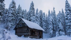 у Леса на опушке