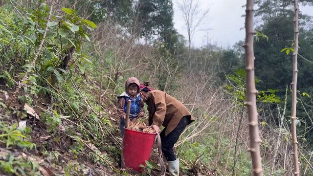 Full video: 60 days, Single mother with her child, confronting various challenges for survival. смотреть онлайн