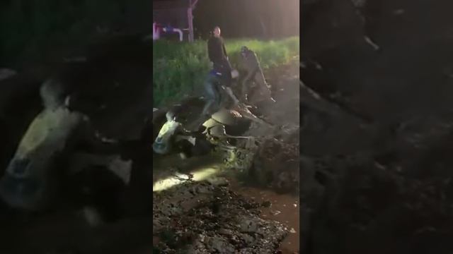 Спасение лошади смотреть онлайн