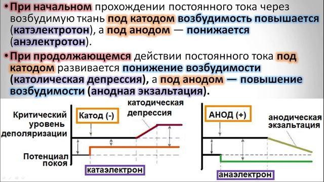 1.3 Законы раздражения возбудимых тканей смотреть онлайн
