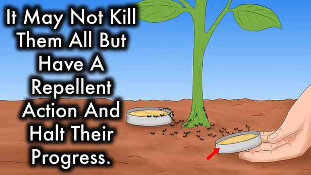 Put Baking Soda On Your Garden Plants and This will Happen смотреть онлайн