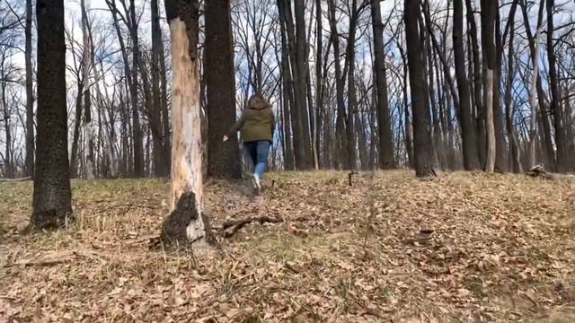 ДЕНДРОТЕРАПИЯ ИЛИ ОБНИМАШКИ С ДЕРЕВЬЯМИ смотреть онлайн