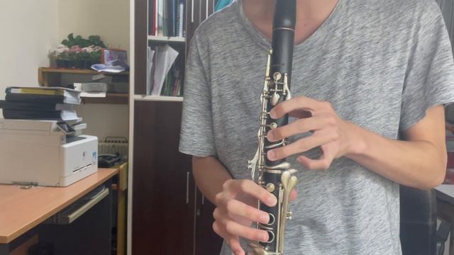 Boku No Hero Academia - Season 5 Opening | DISH - 『No.1』(Clarinet cover) смотреть онлайн