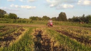 Дисковая борона на минитракторе xt 244