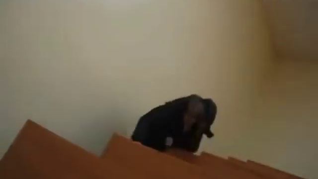 Студент отжигает, но это M8L8TH