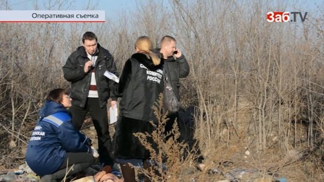 Стая собак насмерть загрызла мальчика в Чите смотреть онлайн