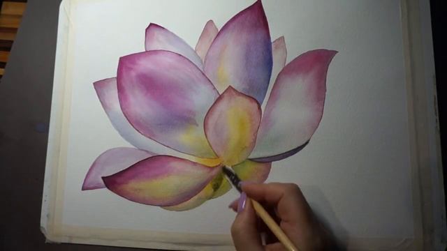 Лотос, рисунок акварелью, процесс рисования смотреть онлайн