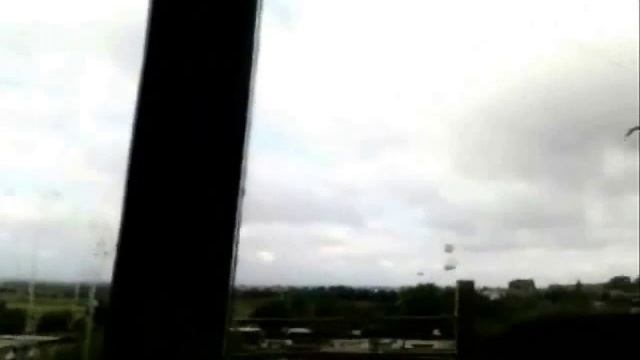 Кот vs Ястреб смотреть онлайн