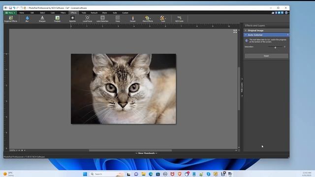 Use AI to Colorize Black and White Photos - Quick & Easy! смотреть онлайн