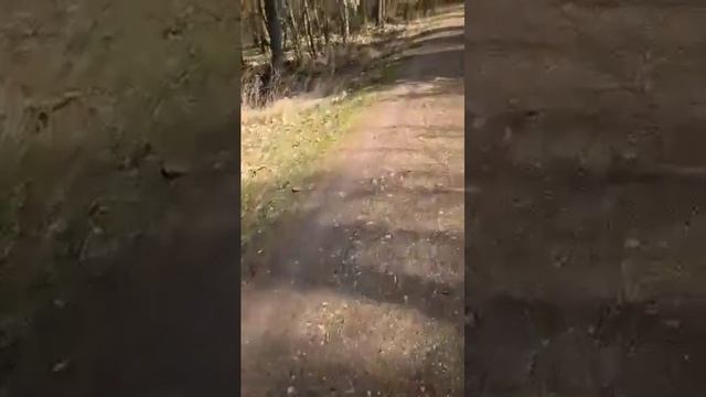 KXD PRO 125CC DIRT BIKE part 2 смотреть онлайн