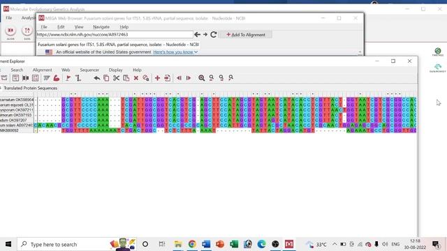 Phylogenic Tree Construction | MEGA Software | Interactive Tree of Life (iTOL) смотреть онлайн