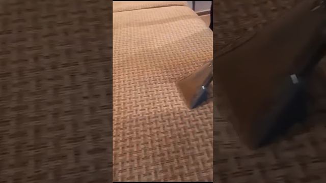 Химчистка дивана смотреть онлайн