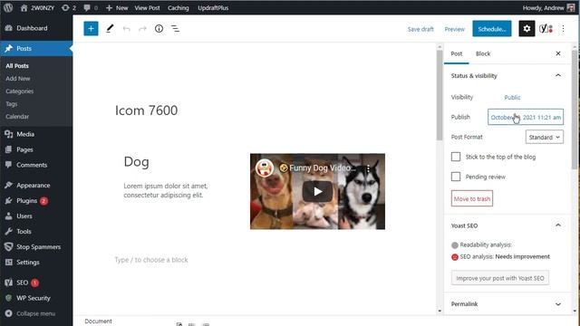 Scheduling posts in WordPress смотреть онлайн