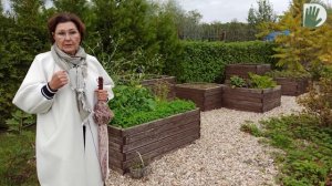 Видео журнал «Сады в отличной форме №66»  Сад Ирины Сахаровой. Знакомство продолжается!.mp4